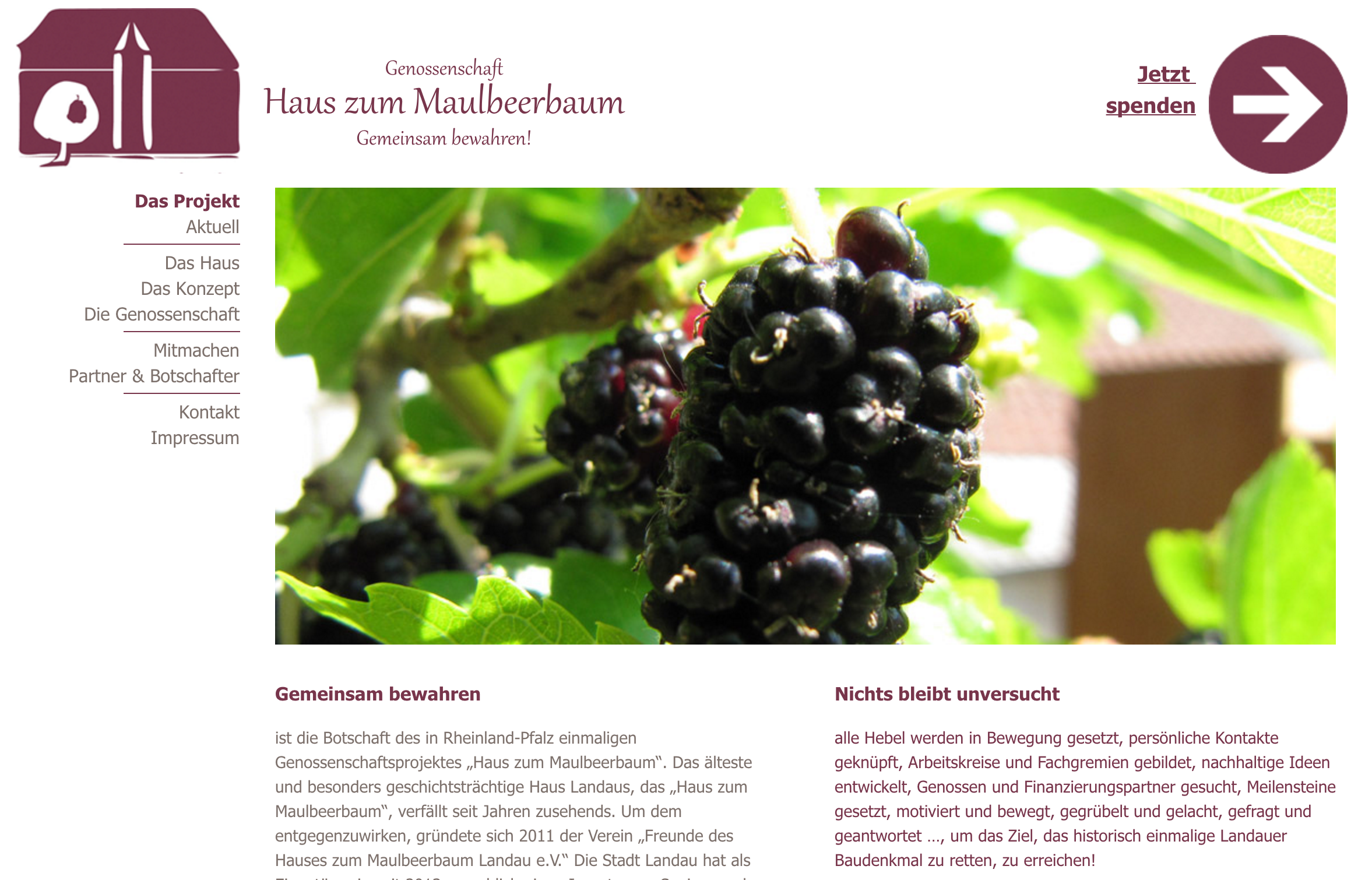 Haus zum Maulbeerbaum
