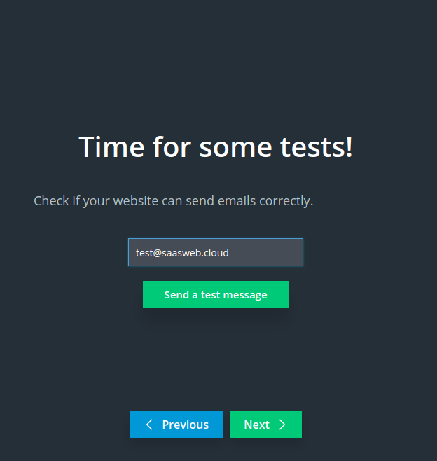 Newsletter Widget – Wizard Step 3 Newsletter Widget - Wizard Step 3